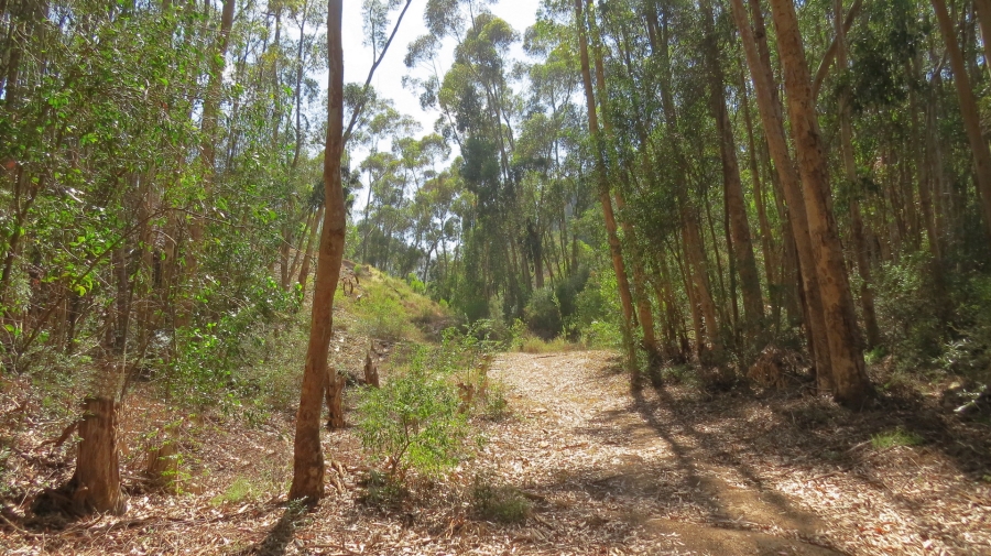 Commercial Property for Sale in Robertson Rural Western Cape